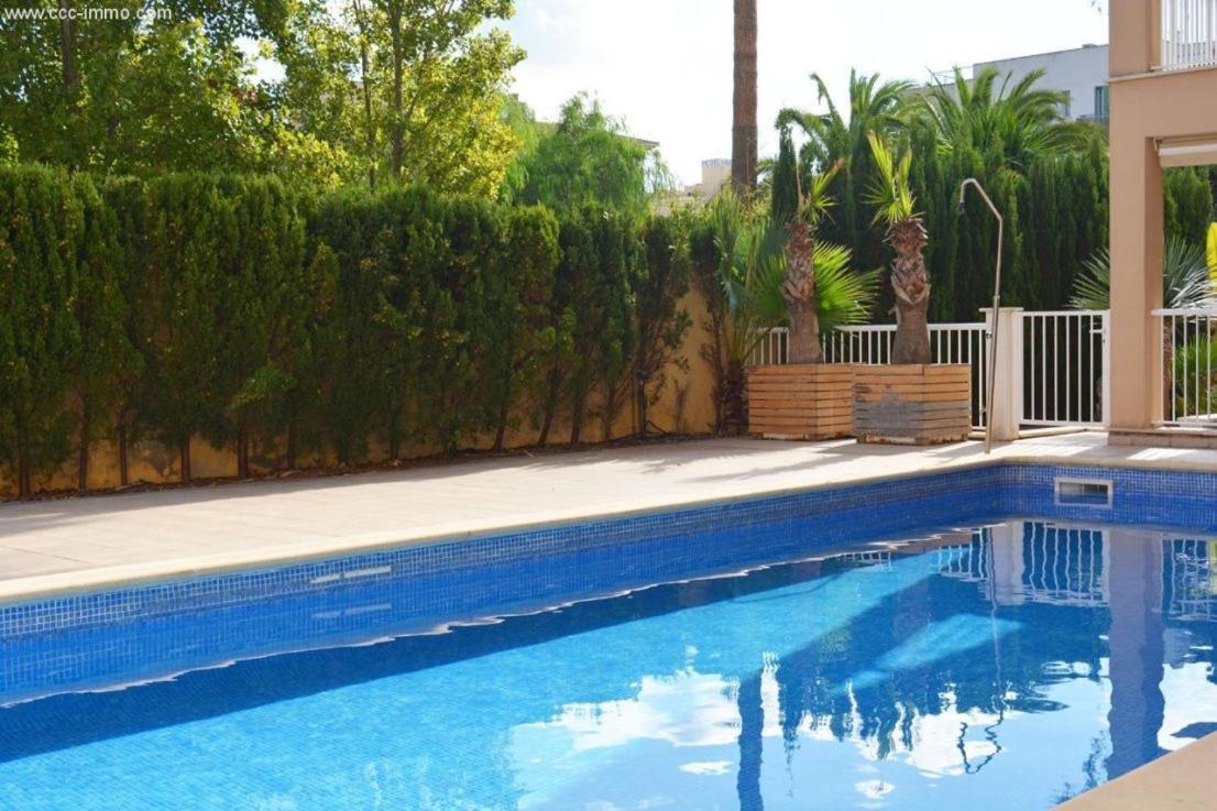 Lägenhet Miguel Cala Ratjada (Mallorca)